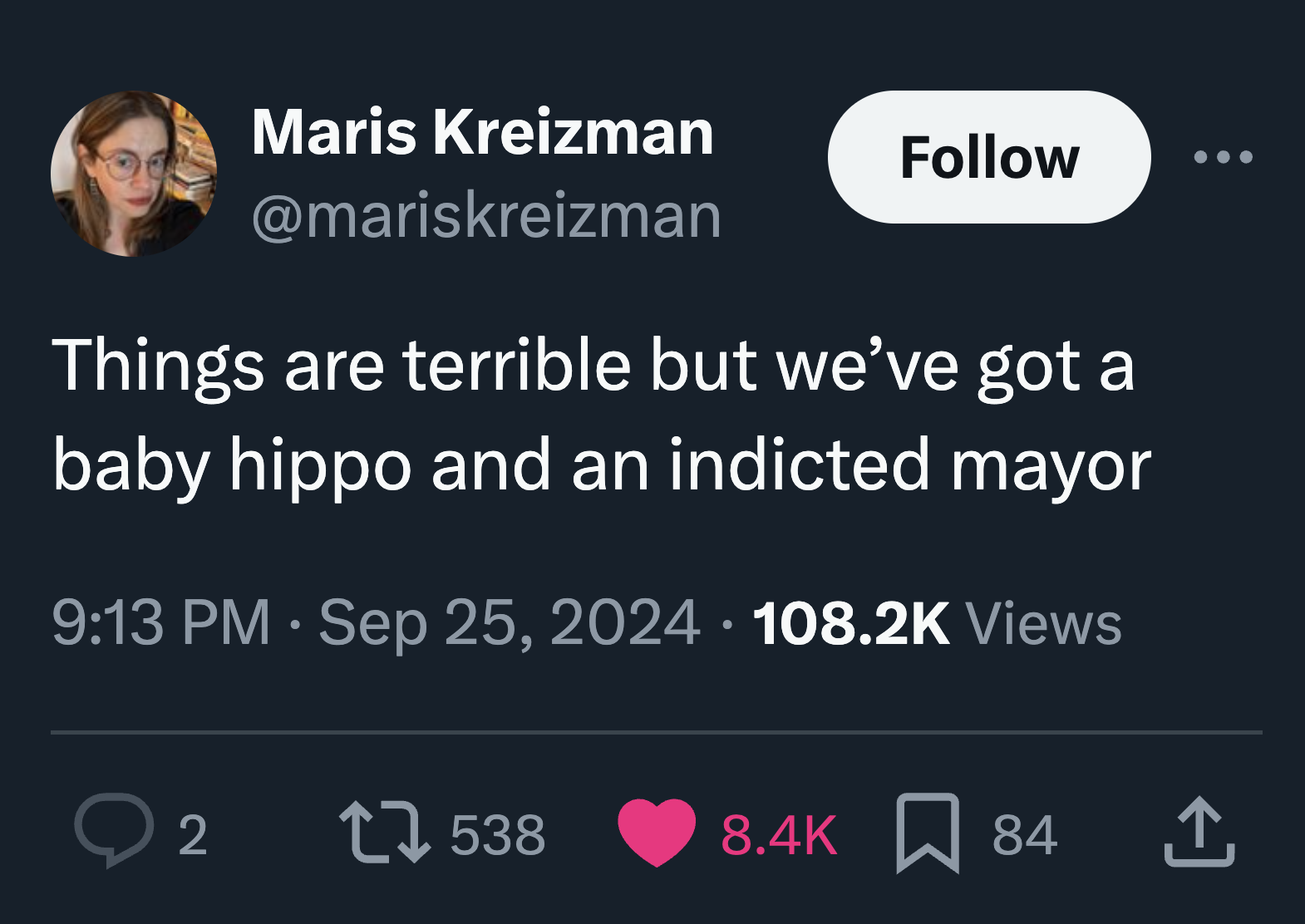 screenshot - Maris Kreizman Things are terrible but we've got a baby hippo and an indicted mayor . . Views 2 17538 84